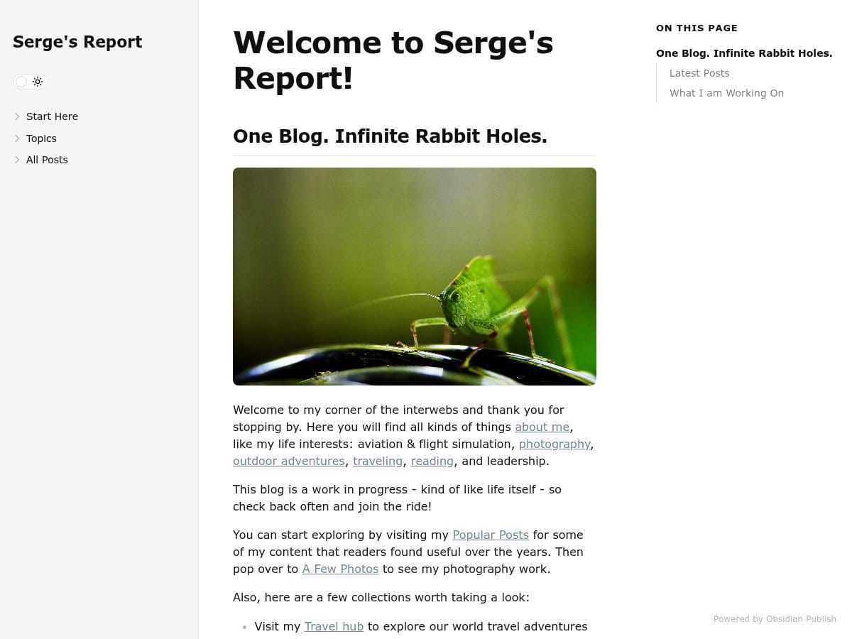 Serge's Report - Screenshot